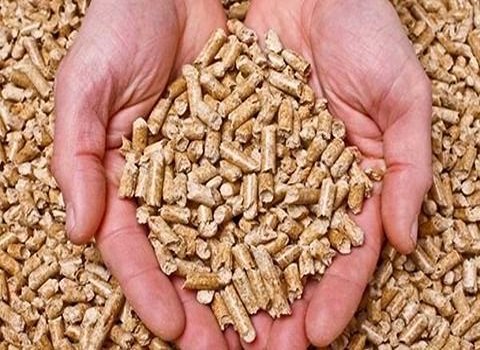تصویر 2 از فروش خوراک دام بابل + قیمت خرید به صرفه
